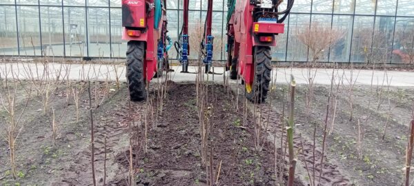 Weed Profi Hackmaschine