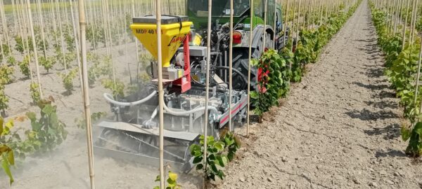 Weed Profi Hackmaschine